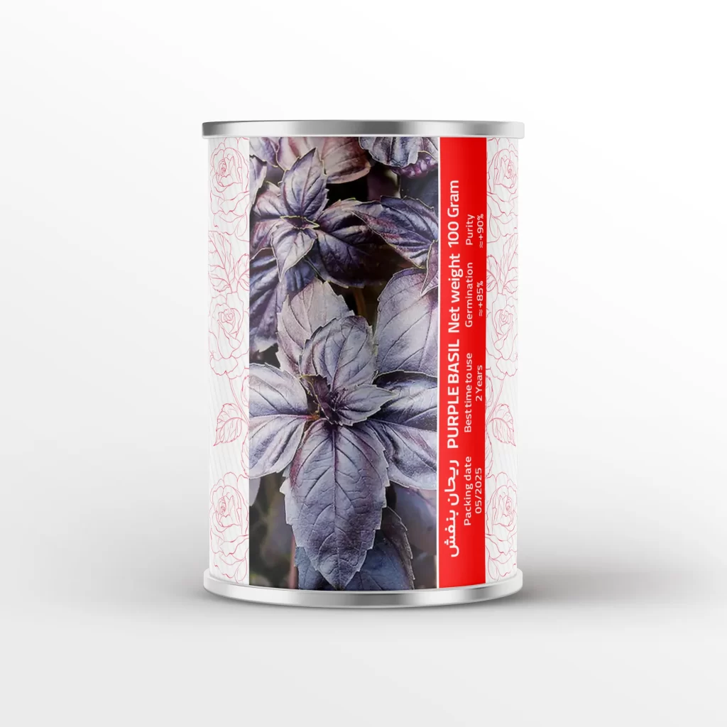 بذر ریحان بنفش