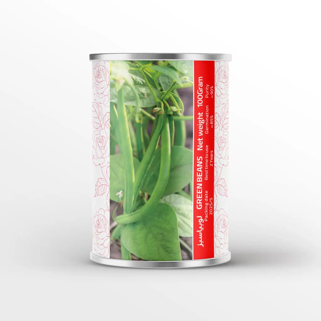 بذر لوبیا سبز