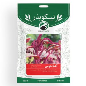 بذر گل آشلانتوس نیکوبذر
