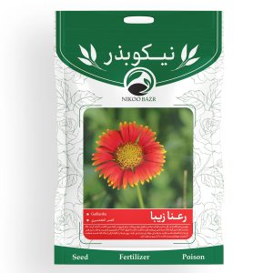 بذر گل رعنا زیبا نیکوبذر