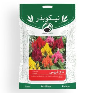بذر گل تاج خروس نیکوبذر