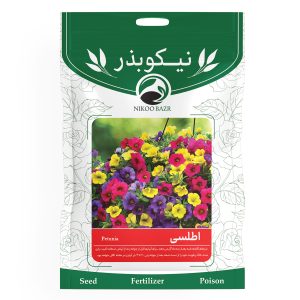 بذر گل اطلسی نیکوبذر