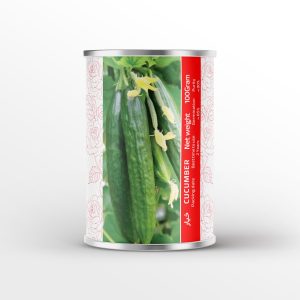بذر خیار آمریکایی قوطی فلزی 100گرمی نیکوبذر (حدود 2500 عدد)