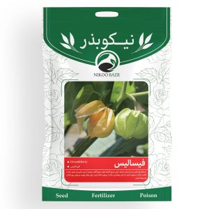 بذر فیسالیس نیکوبذر