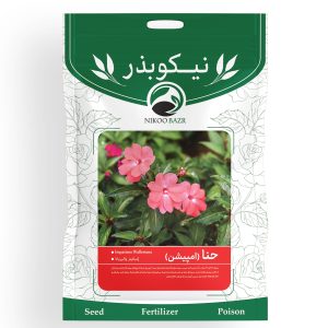 بذر گل حنا نیکوبذر