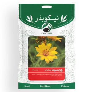 بذر گل وربسینا(پروانه ای) نیکوبذر