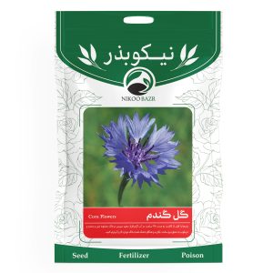 بذر گل گندم نیکوبذر