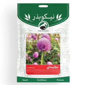 بذر گل تکمه ای نیکوبذر
