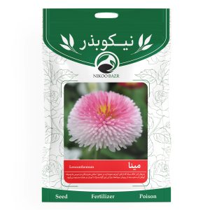 بذر گل مینا نیکوبذر