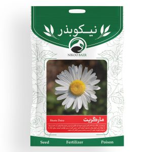 بذر گل مارگریت نیکوبذر