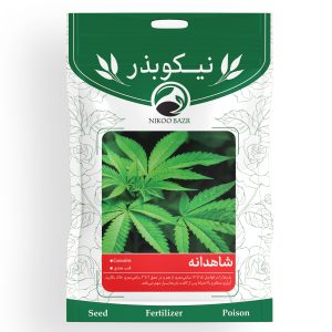 بذر شاهدانه نیکوبذر