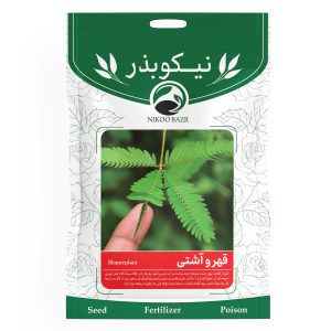 بذر گل قهر و آشتی نیکوبذر