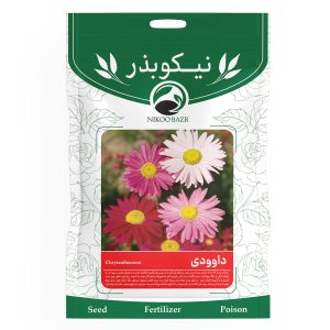 بذر گل داودی داوودی نیکوبذر