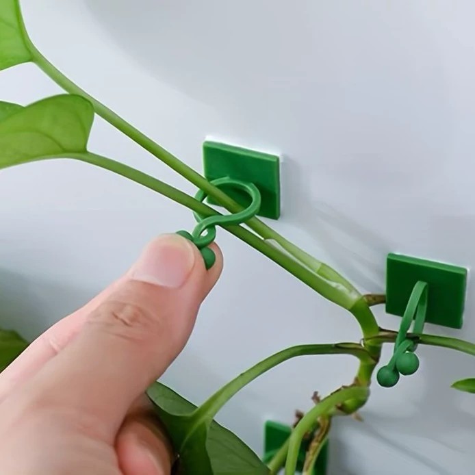 ySDybOA3sLEEtqlqvAPDYbvifbDAOQnOPYnNuDXUKwYpOHhsBn.jpg
